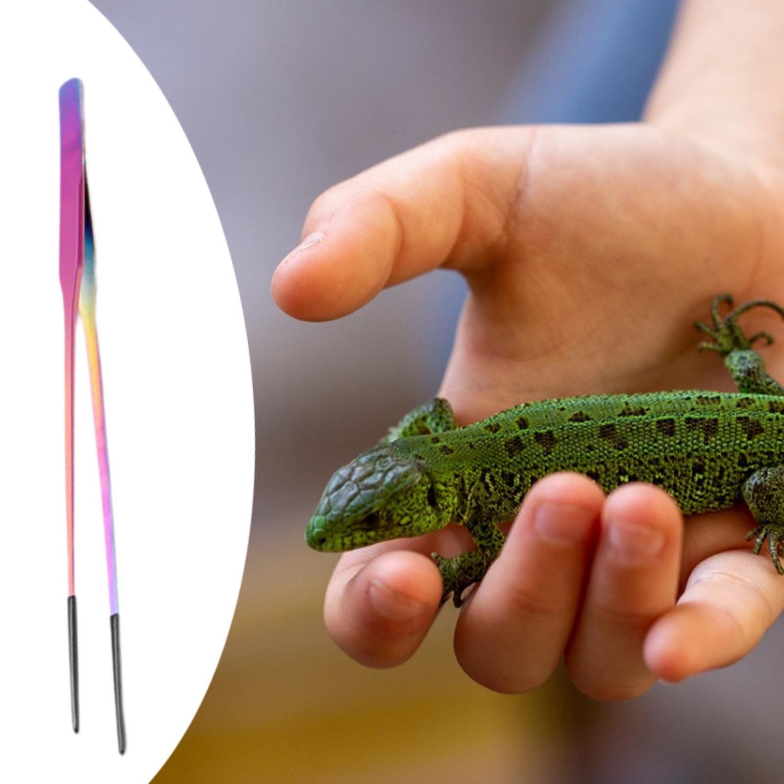 Planted Aquarium Tips - แหนบป้อนอาหารสัตว์เลื้อยคลาน ปลายอ่อน สำหรับปลูกต้นไม้ในตู้ปลา ทำจากโลหะ สำหรับอุปกรณ์ตกแต่งตู้เลี้ยงบีร์ดดราก้อนและกิ้งก่า