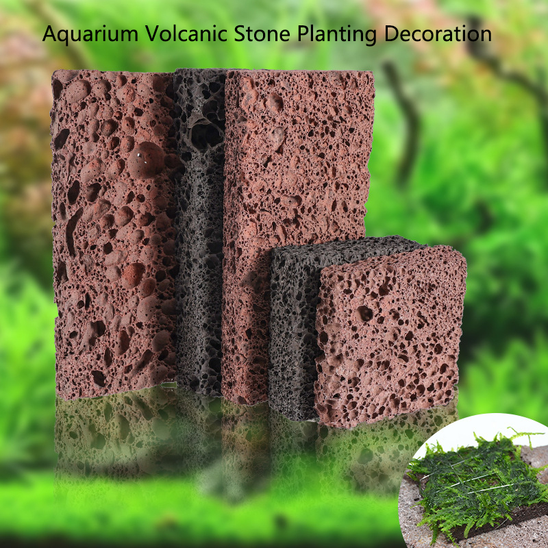 Aquarium Plant Live - Volcanic Aquarium ตกแต่งถังปลาพืชคงที่ MOSS น้ําหญ้าหินชิ้นธรรมชาติ Volcanic