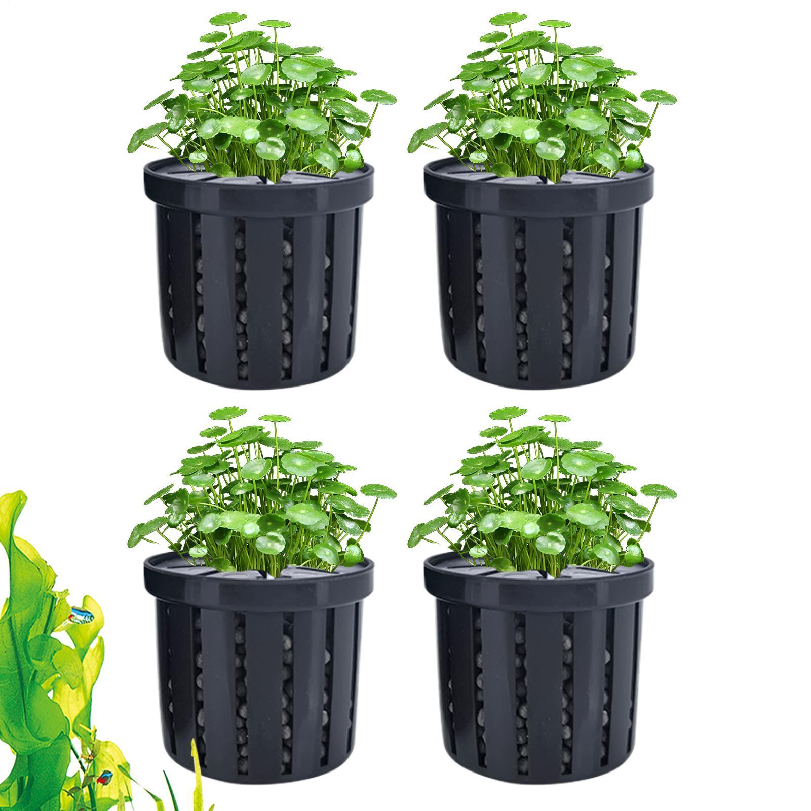Aquarium Plant Live - กระถางปลูกต้นไม้ในตู้ปลา 4 ชิ้น พร้อมฟองน้ำและจุกดูดสุญญากาศ จมลงไปเองได้ เหมาะสำหรับตู้ปลาในบ้าน