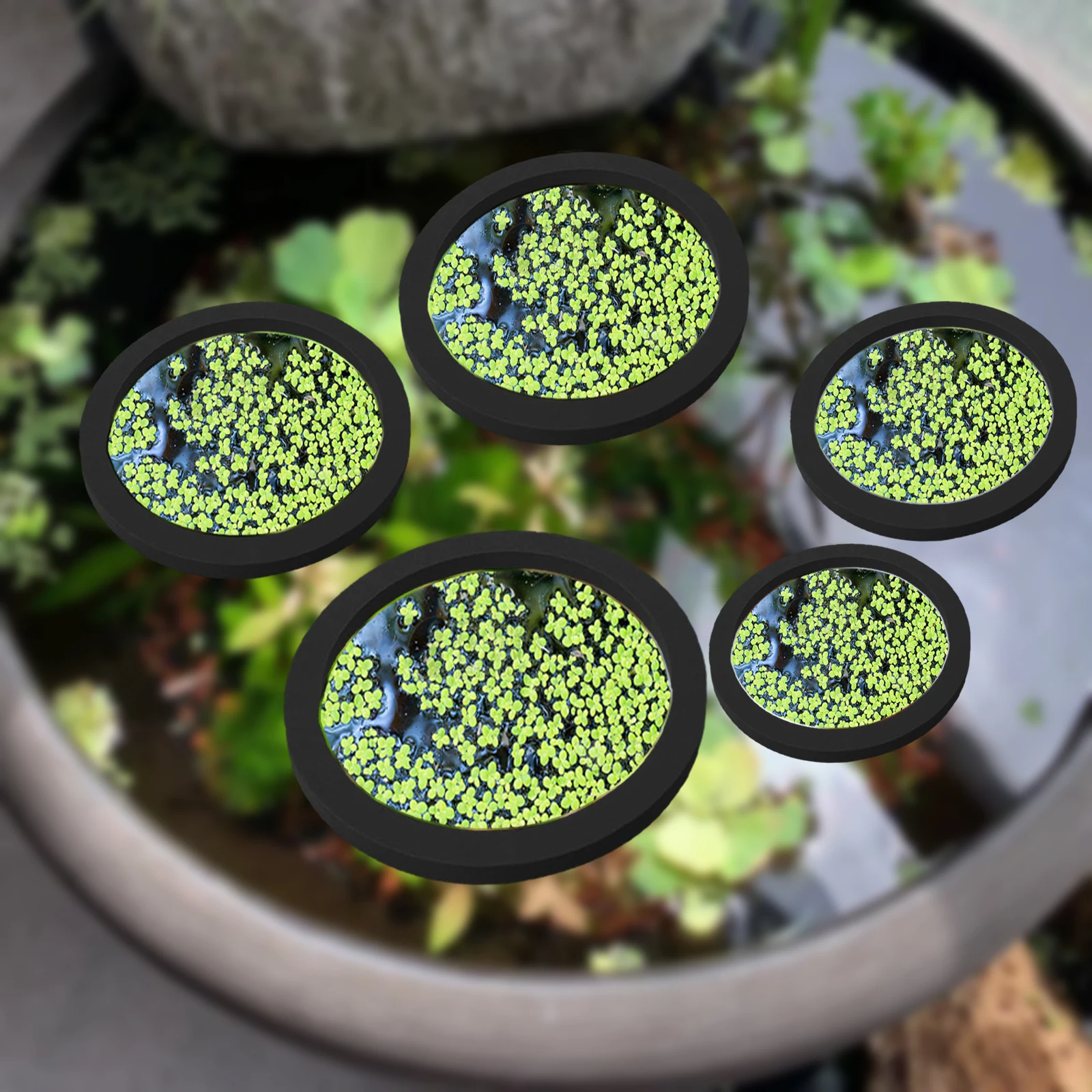 Aquarium Plants - 5 ชิ้น EVA ปลา Feeding แหวน