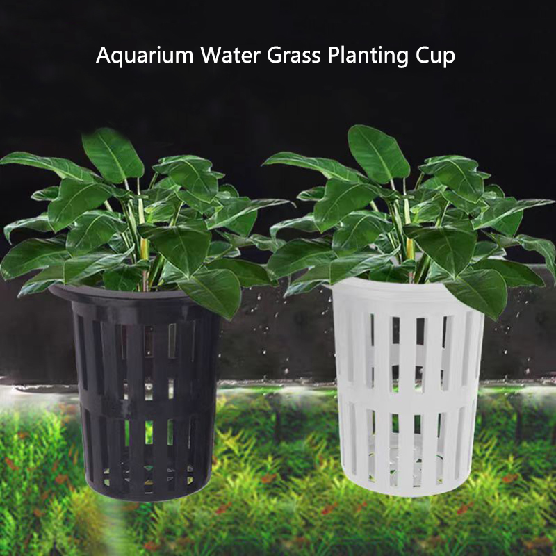 Aquarium Plant Live - 1/3Pcs Aquarium Plantตะกร้าติดผนังHydroponicแขวนสําหรับถังปลาน้ําพืชผู้ถือตะขอแขวน