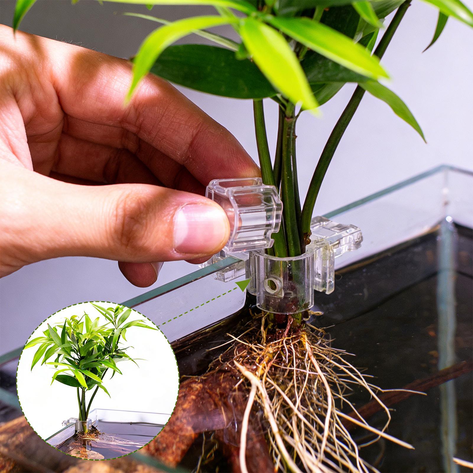 Aquarium Plant Diseases - ที่แขวนต้นไม้ในตู้ปลาแบบใส 6 ชิ้น ถ้วยปลูกต้นไม้แบบแขวนสำหรับตู้ปลา สำหรับปลูกพืชในบ้าน
