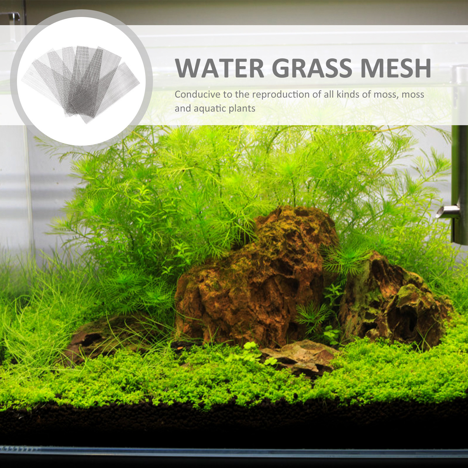 Aquarium Plants - แผ่นตาข่ายลวดสแตนเลส 10 ชิ้น สำหรับยึดต้นไม้น้ำในตู้ปลา ทนต่อสนิม ป้องกันการฉีกขาด