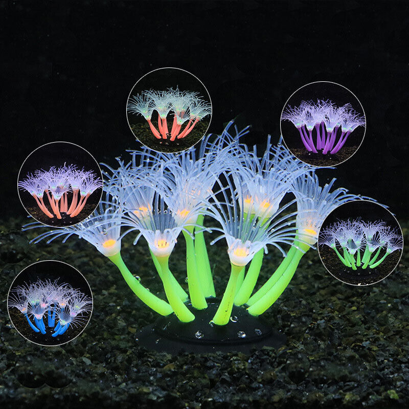 ซิลิโคนเรืองแสงตกแต่งตู้ปลา ปล - Aquarium Plant Live บทวิจารณ์และราคา
