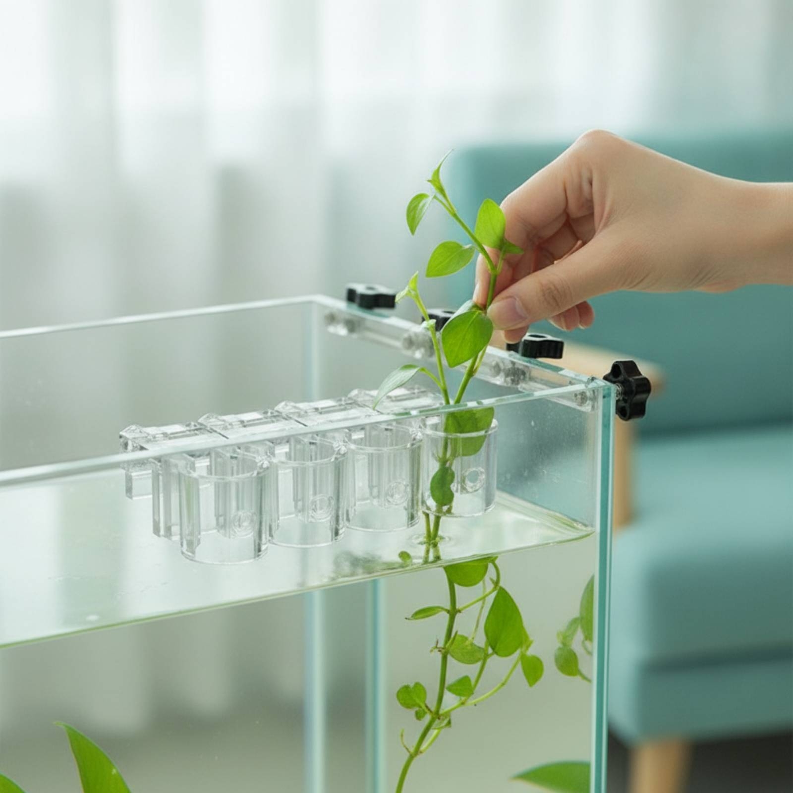 คลิปหนีบกระถางปลูกพืชน้ำแบบใส  - Aquarium Plants บทวิจารณ์และราคา