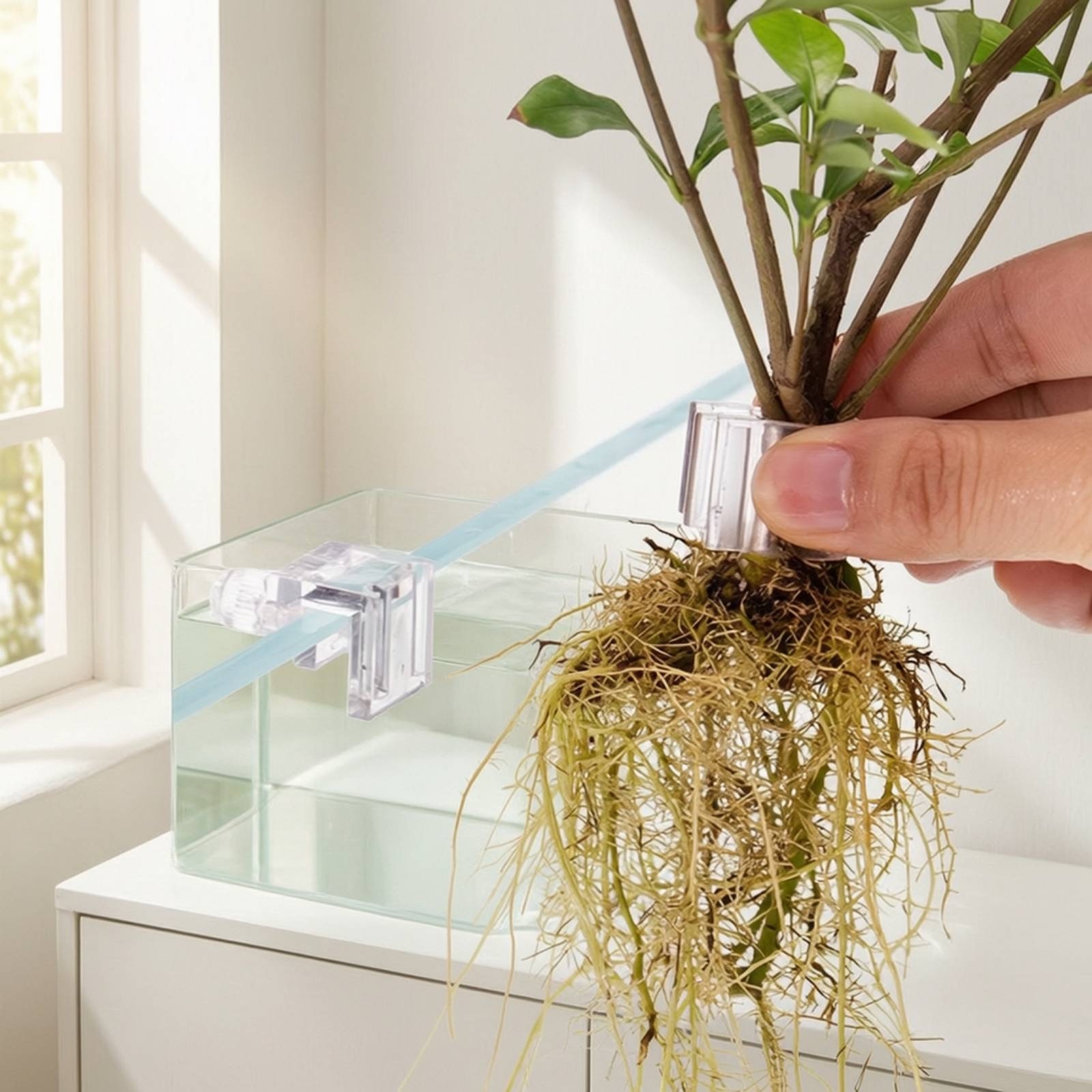 คลิปหนีบกระถางปลูกพืชน้ำแบบใส  - Aquarium Plants บทวิจารณ์และราคา