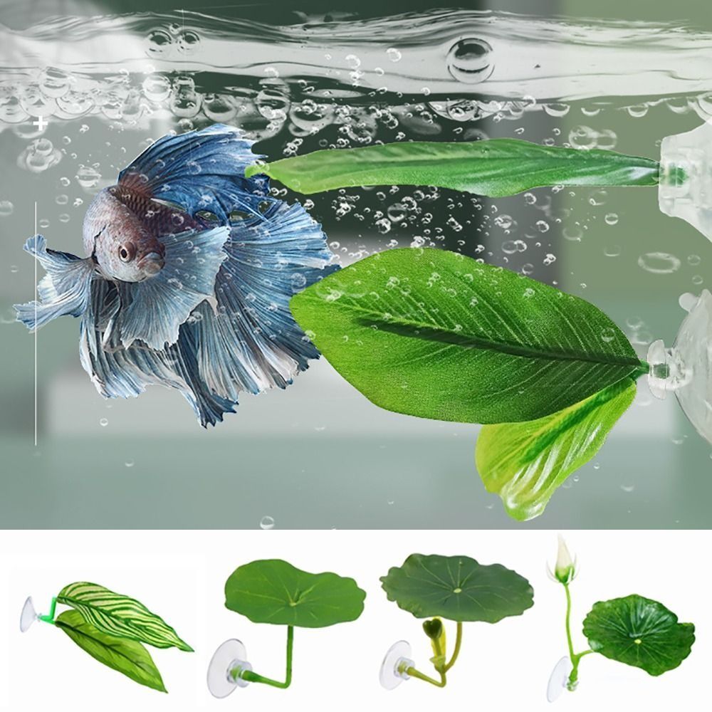 ใบไม้พลาสติกสำหรับปลาเบต้า รูป - Aquarium Plant Live บทวิจารณ์และราคา