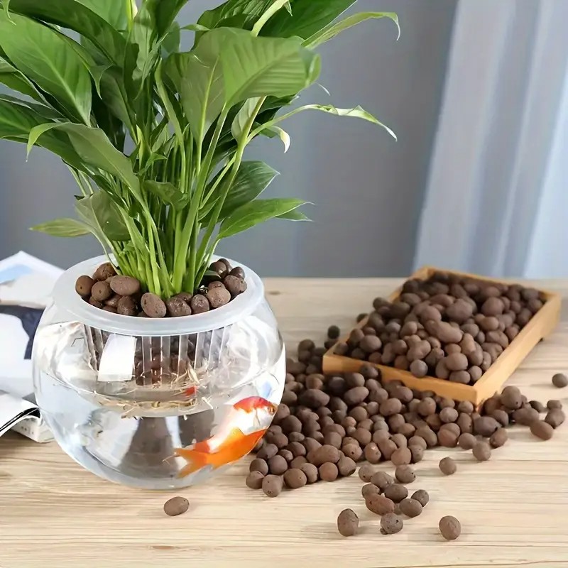 เม็ดดินเผาน้ําหนักเบาและระบายอ - Aquarium Plants บทวิจารณ์และราคา