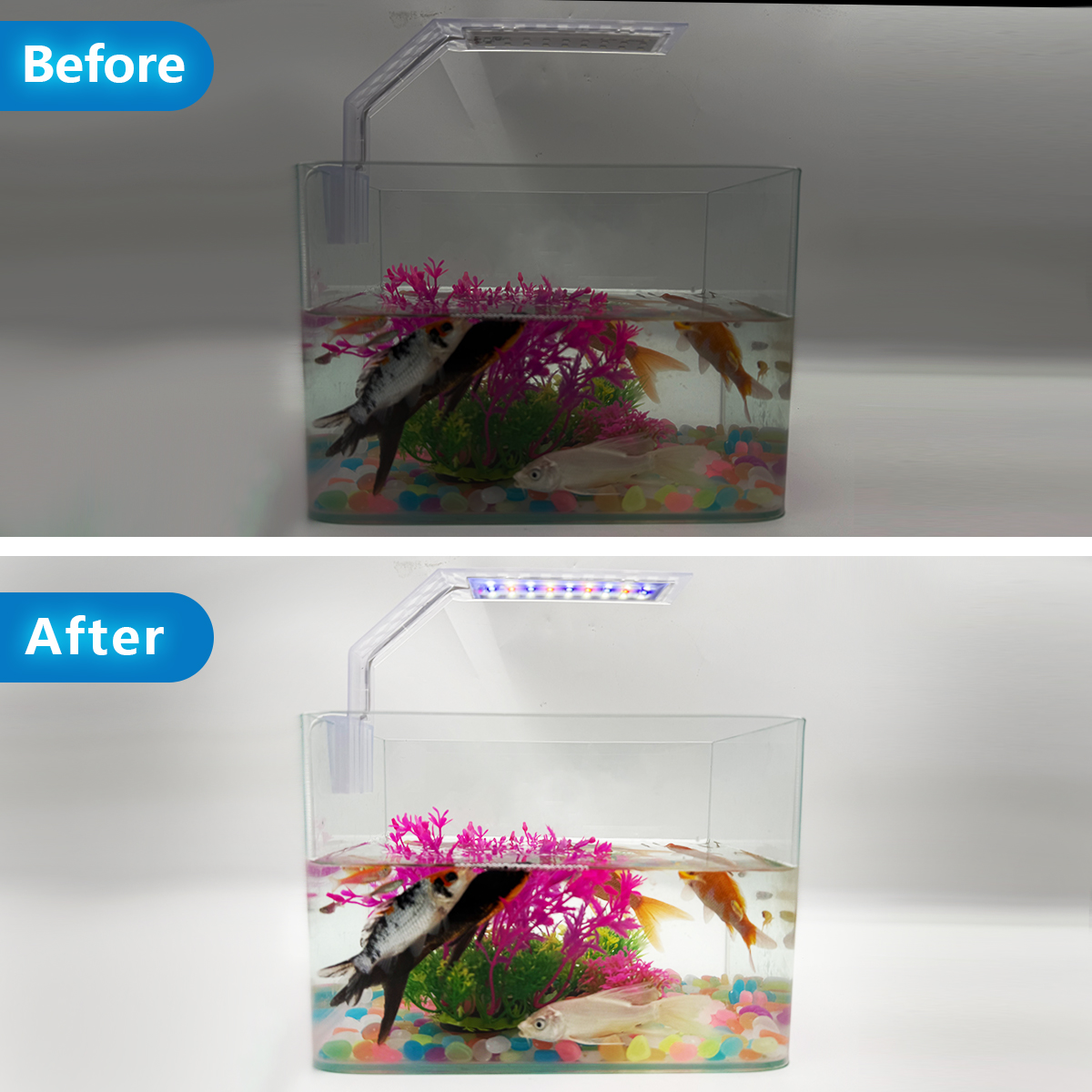 Super Slim LED Aquarium Light  - Aquarium Plant Diseases บทวิจารณ์และราคา
