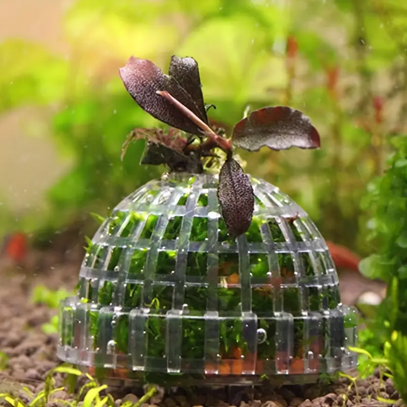 พิพิธภัณฑ์สัตว์น้ําพลาสติก MOS - Aquarium Plant Live บทวิจารณ์และราคา