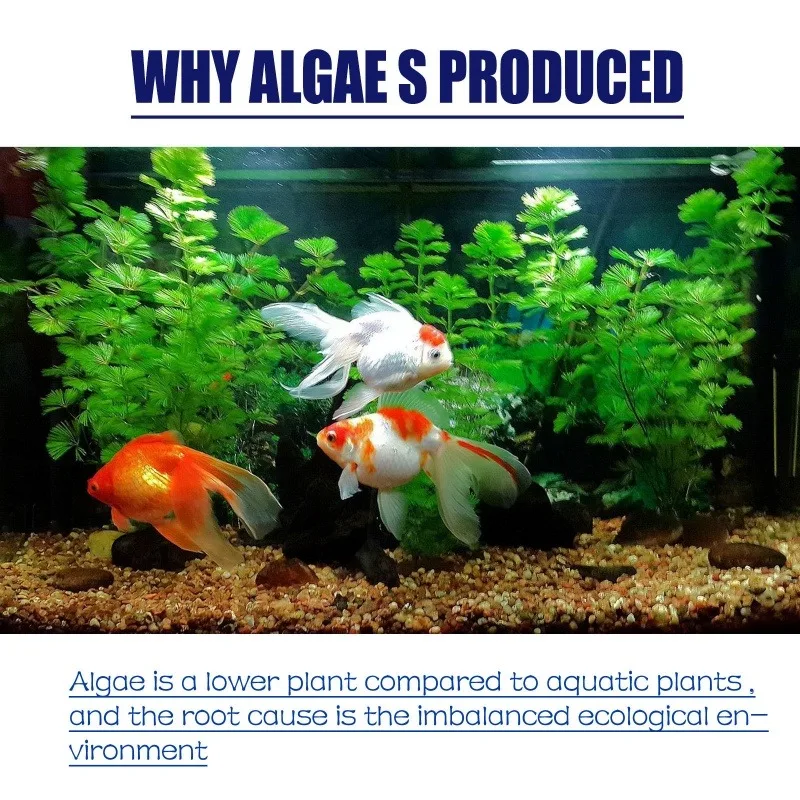 สารกำจัดสาหร่ายประสิทธิภาพสูง  - Planted Aquarium Equipment บทวิจารณ์และราคา
