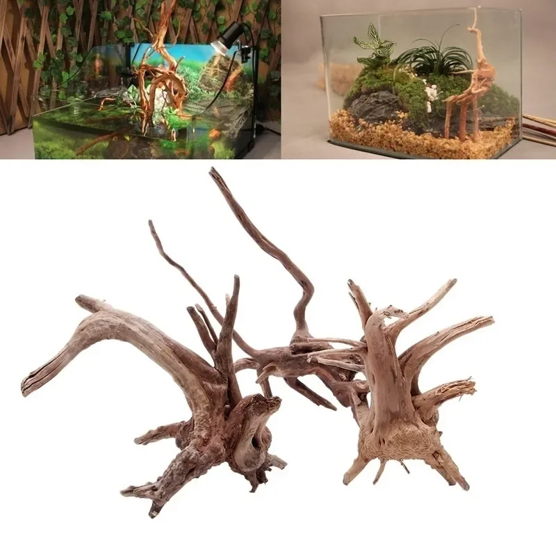 ต้นไม้ธรรมชาติลำต้นไม้ดริฟท์วู - Planted Aquarium Media บทวิจารณ์และราคา