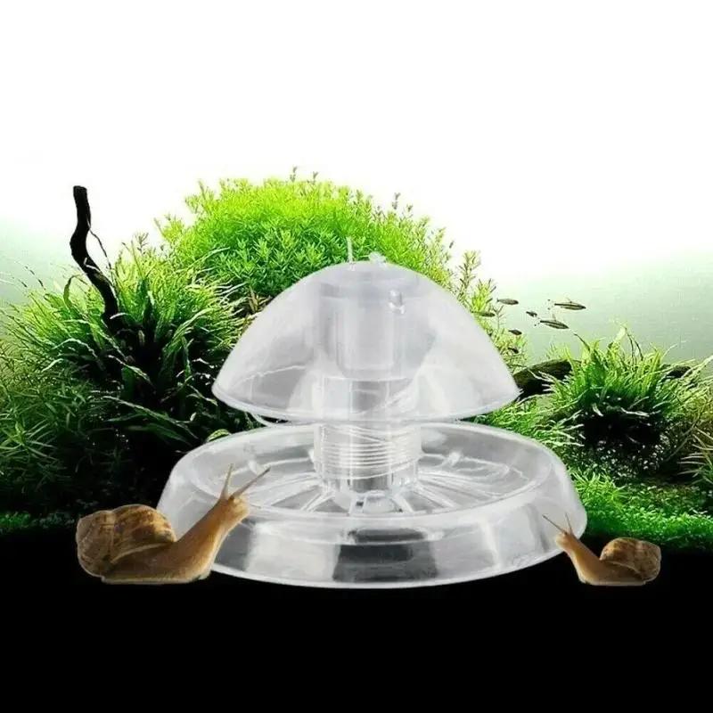 กับดักหอยทากพลาสติกใสขนาด 6/8  - Aquarium Plants บทวิจารณ์และราคา