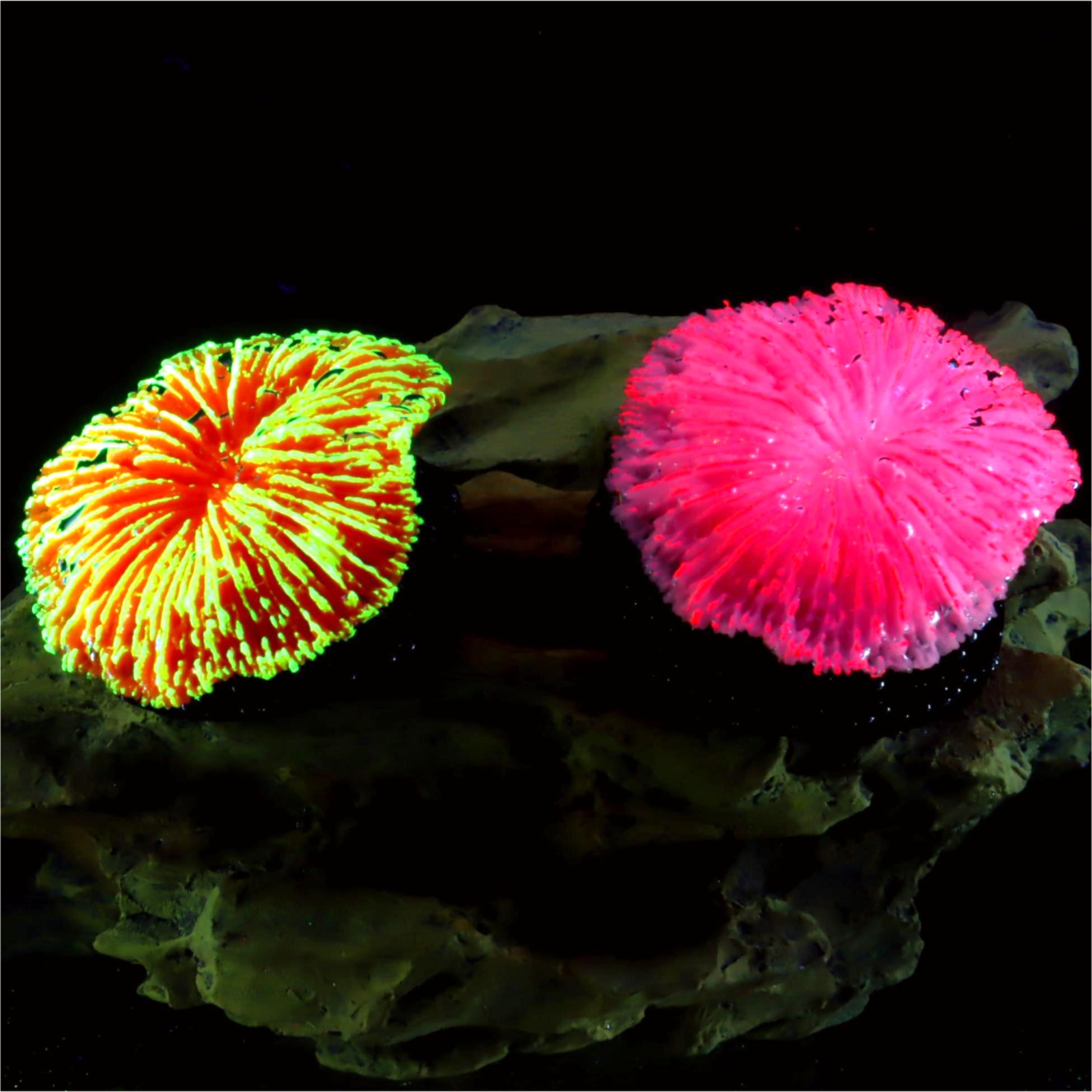 1 piece aquarium decoration sa - Aquarium Plant Live บทวิจารณ์และราคา