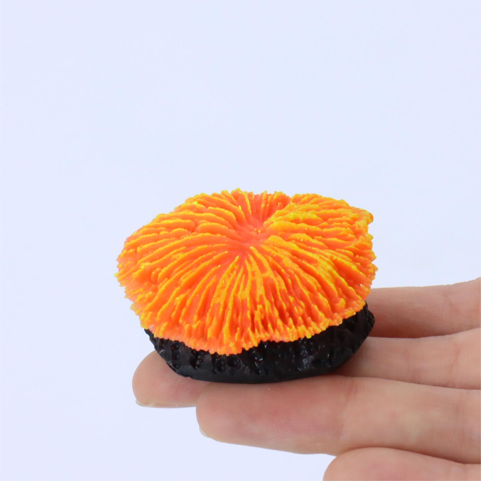1 piece aquarium decoration sa - Aquarium Plant Live บทวิจารณ์และราคา