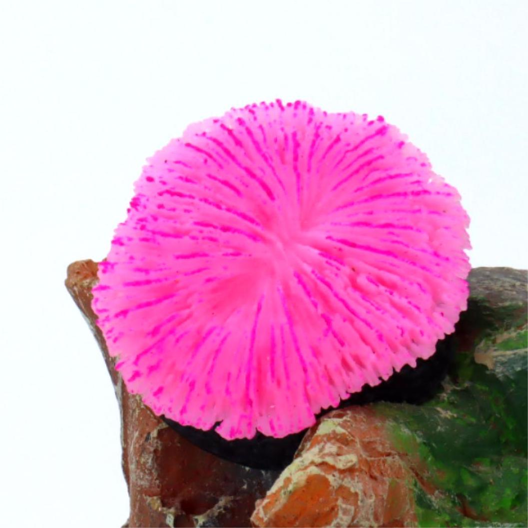 1 piece aquarium decoration sa - Aquarium Plant Live บทวิจารณ์และราคา