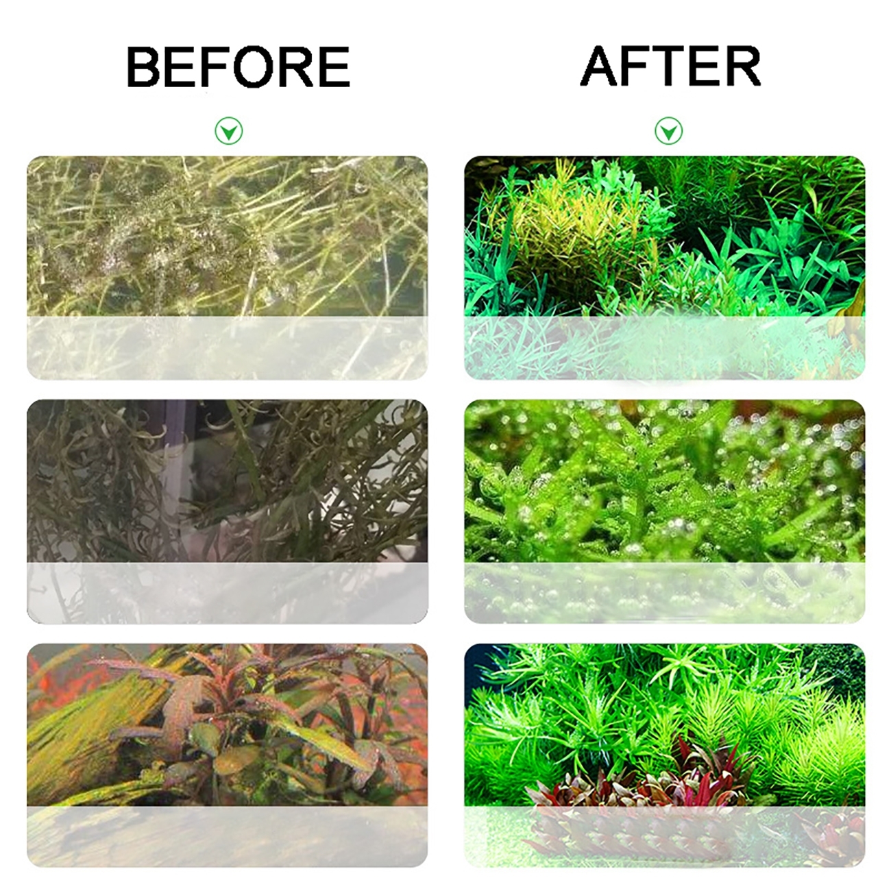 Aquarium CO2 Generator system  - Planted Aquarium Co2 Kit บทวิจารณ์และราคา