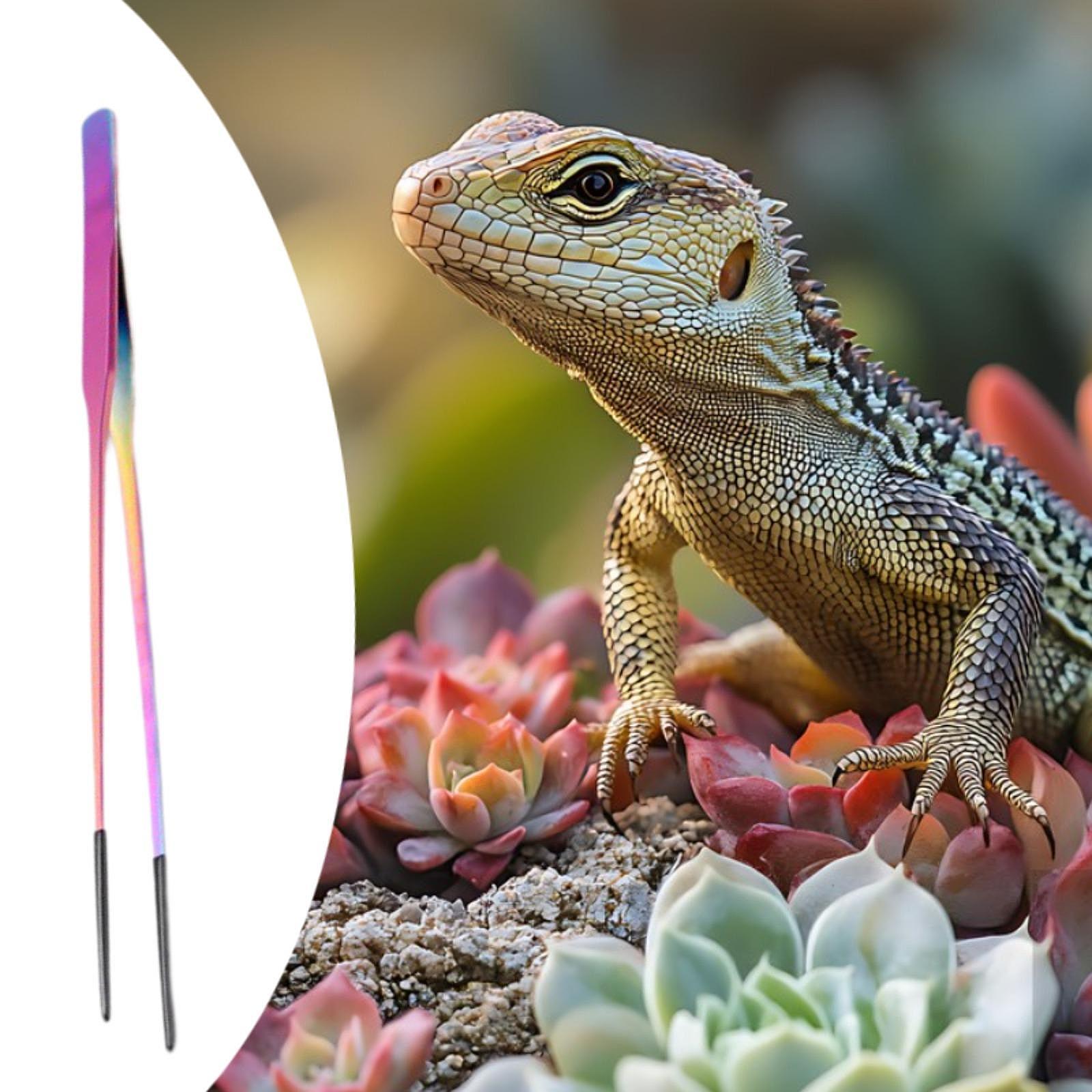 แหนบป้อนอาหารสัตว์เลื้อยคลาน ป - Planted Aquarium Tips บทวิจารณ์และราคา
