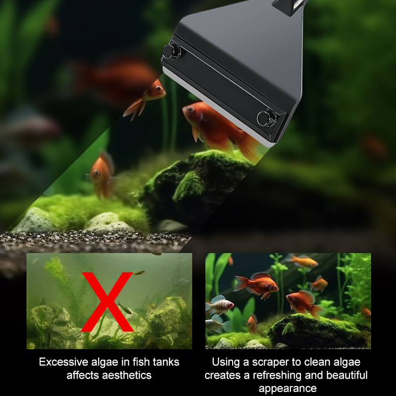 พิพิธภัณฑ์สัตว์น้ําสาหร่ายRemo - Planted Aquarium Tool Kit บทวิจารณ์และราคา