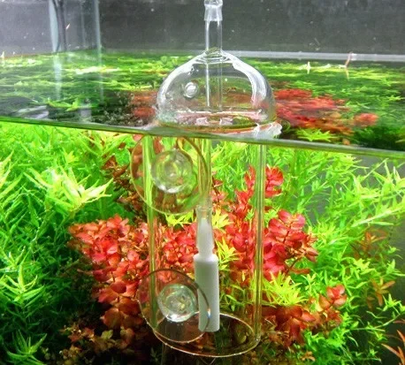 VIV Do อุปกรณ์ Aquarium กระบอก - Planted Aquarium Equipment บทวิจารณ์และราคา