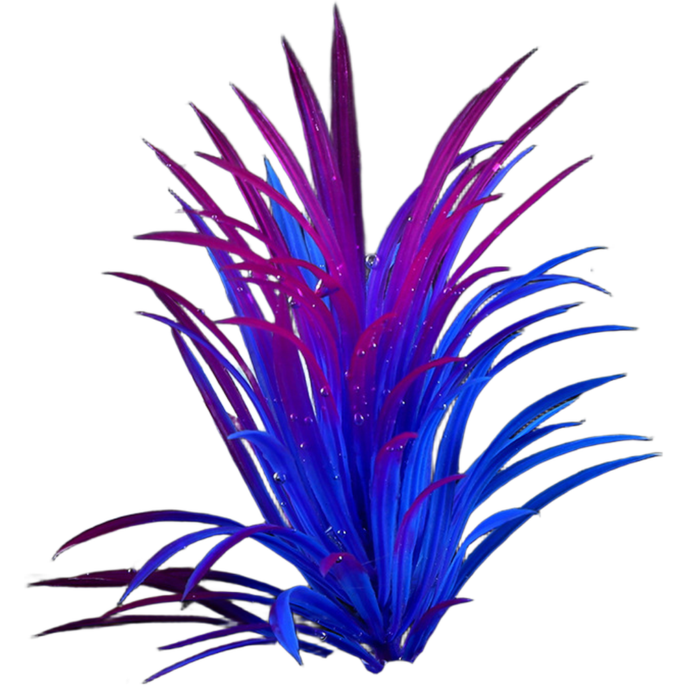 พืชประดับตู้ปลาสำหรับตกแต่งตู้ - Aquarium Plant Red บทวิจารณ์และราคา