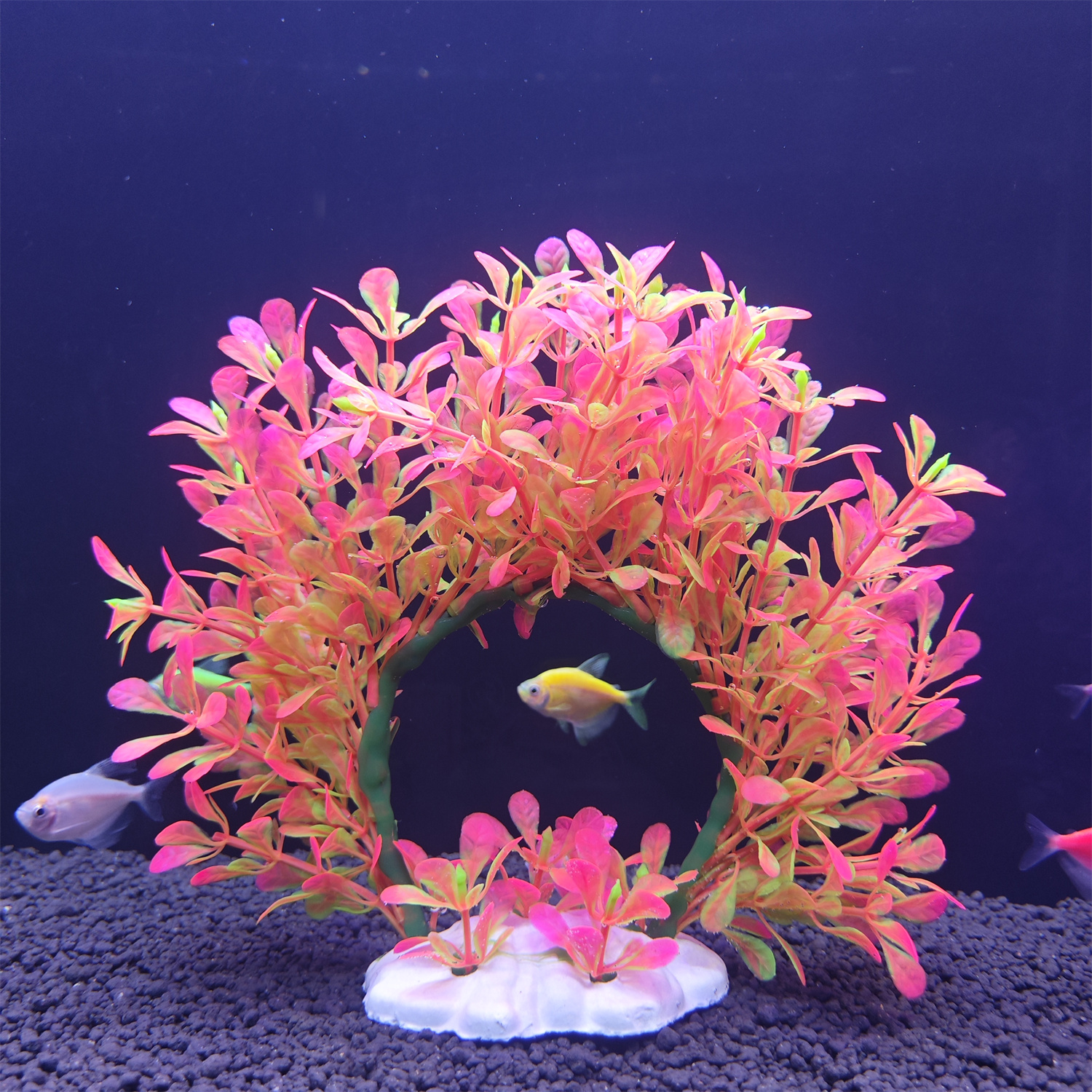 พวงมาลัยใต้น้ำ ต้นไม้พลาสติกใต - Aquarium Plant Diseases บทวิจารณ์และราคา