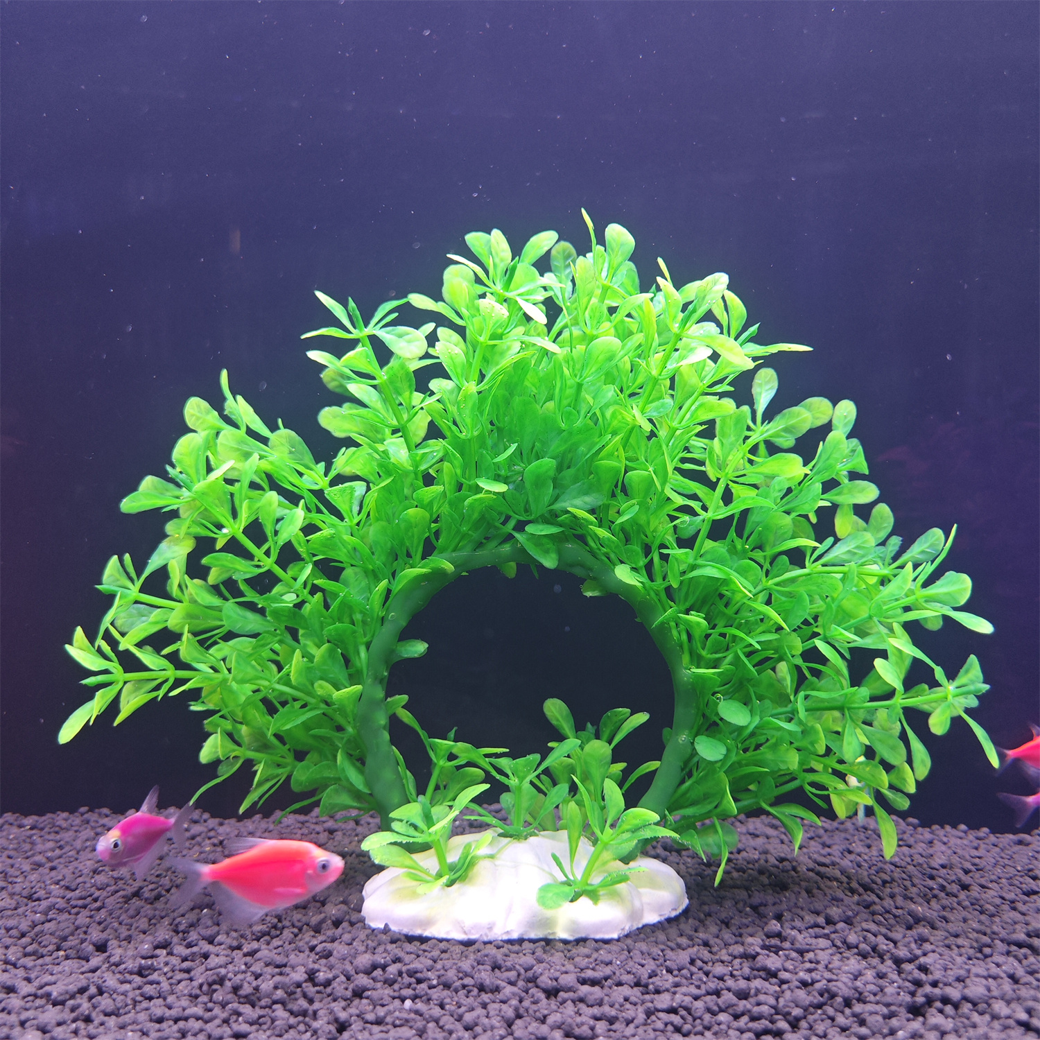 พวงมาลัยใต้น้ำ ต้นไม้พลาสติกใต - Aquarium Plant Diseases บทวิจารณ์และราคา