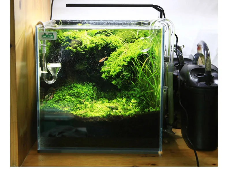 Chihiros C Series ADA สไตล์พืช - Aquarium Plant Diseases บทวิจารณ์และราคา