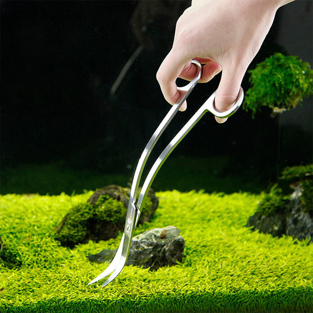 อุปกรณ์ตู้ปลาสแตนเลสสตีล Aquar - Planted Aquarium Tool Kit บทวิจารณ์และราคา