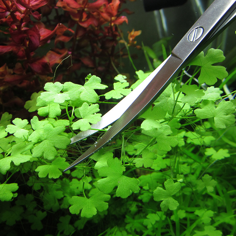 อุปกรณ์ตู้ปลาสแตนเลสสตีล Aquar - Planted Aquarium Tool Kit บทวิจารณ์และราคา