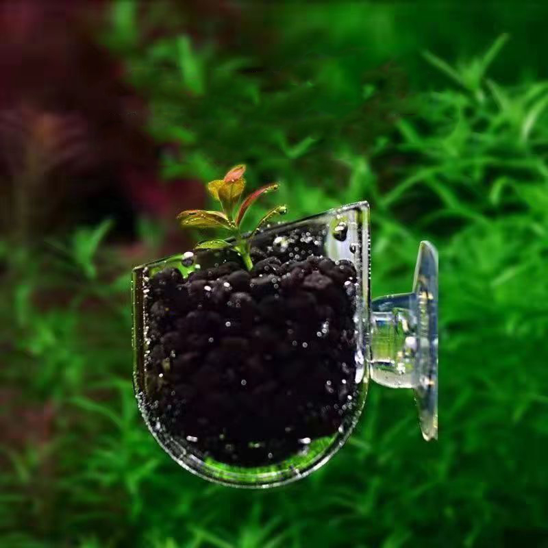 ถ้วยป้อนหนอนแดงสำหรับตู้ปลา ตก - Aquarium Plant Red บทวิจารณ์และราคา