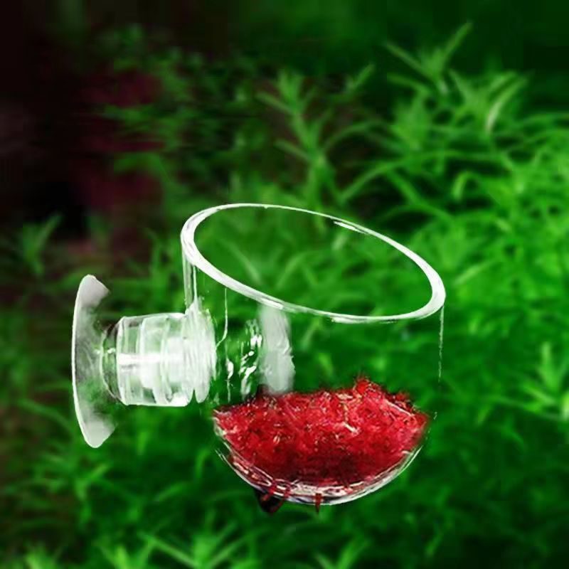 ถ้วยป้อนหนอนแดงสำหรับตู้ปลา ตก - Aquarium Plant Red บทวิจารณ์และราคา
