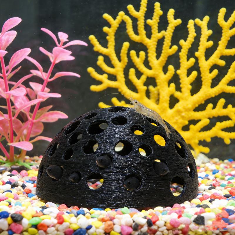 ถ้ำซ่อนในตู้ปลาสำหรับปลาขนาดเล - Aquarium Plant Live บทวิจารณ์และราคา