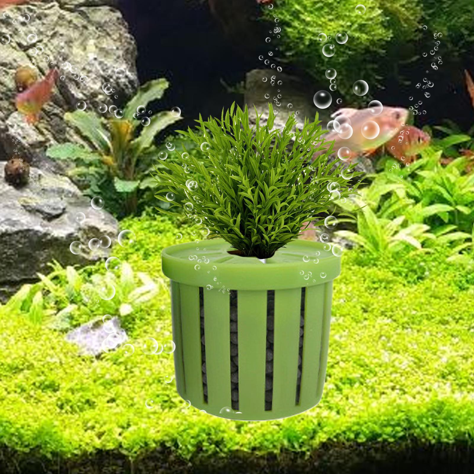 กระถางปลูกต้นไม้ในตู้ปลา 4 ชิ้ - Aquarium Plant Live บทวิจารณ์และราคา
