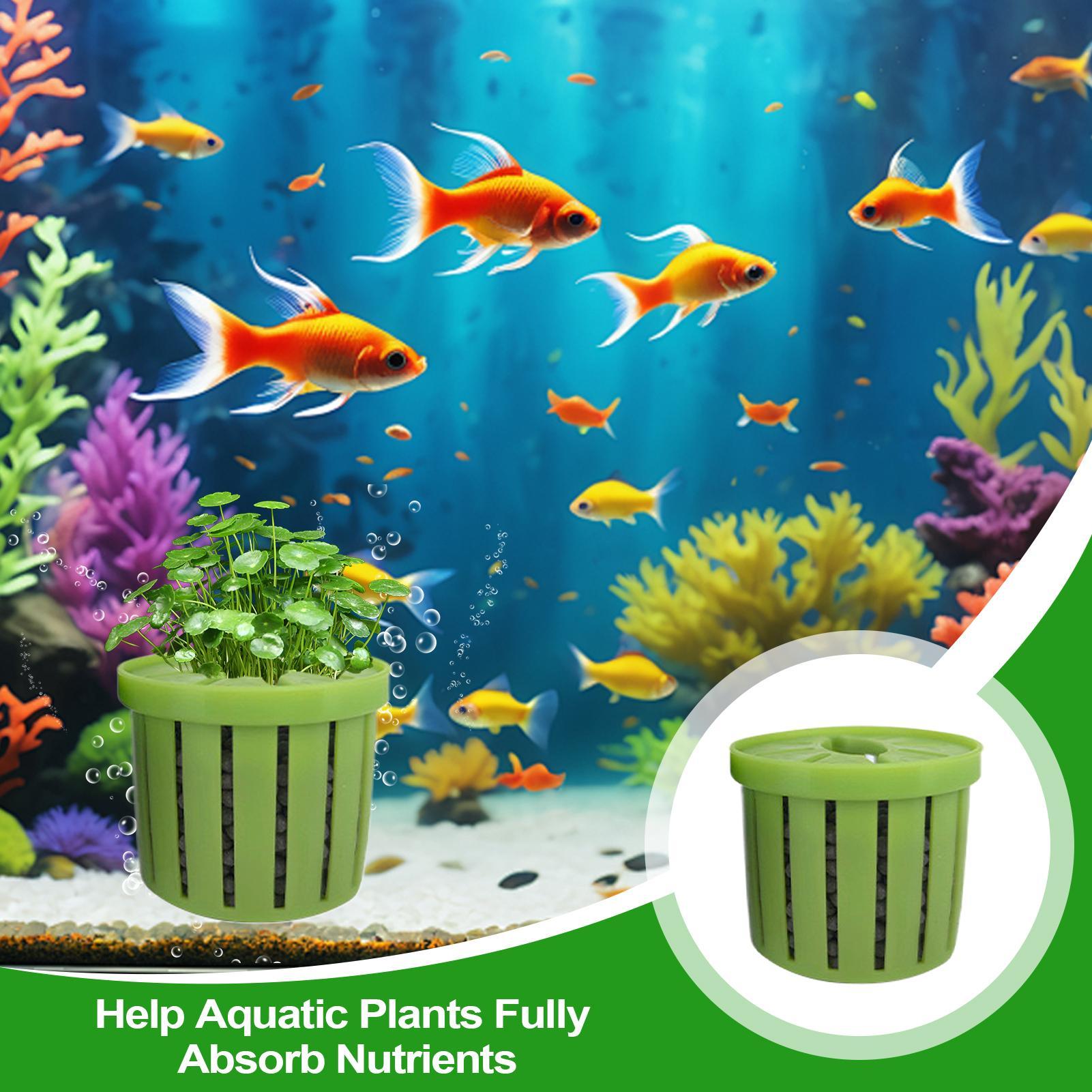 กระถางปลูกต้นไม้ในตู้ปลา 4 ชิ้ - Aquarium Plant Live บทวิจารณ์และราคา