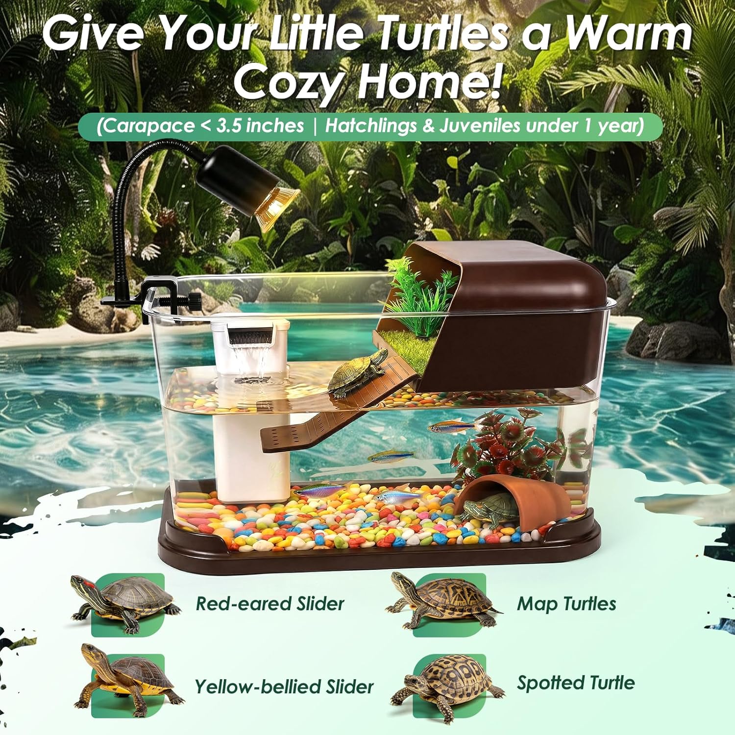ชุดเริ่มต้นตู้เลี้ยงเต่า, ตู้เ - Planted Aquarium Starter Kit บทวิจารณ์และราคา