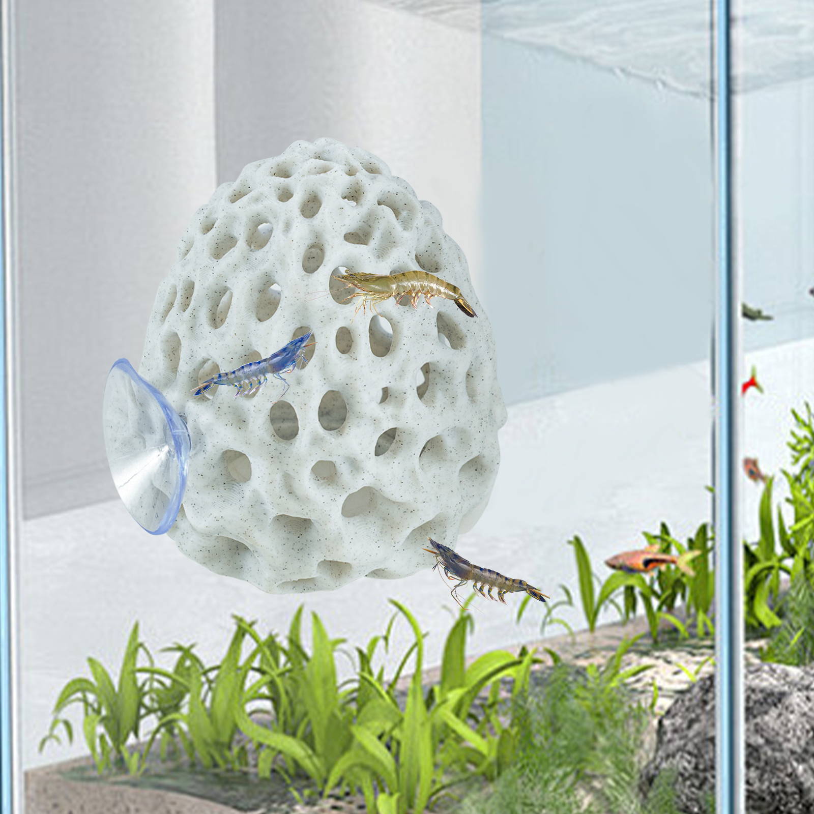 ที่ซ่อนตัวกุ้งสำหรับตู้ปลา, ที - Aquarium Plant Live บทวิจารณ์และราคา