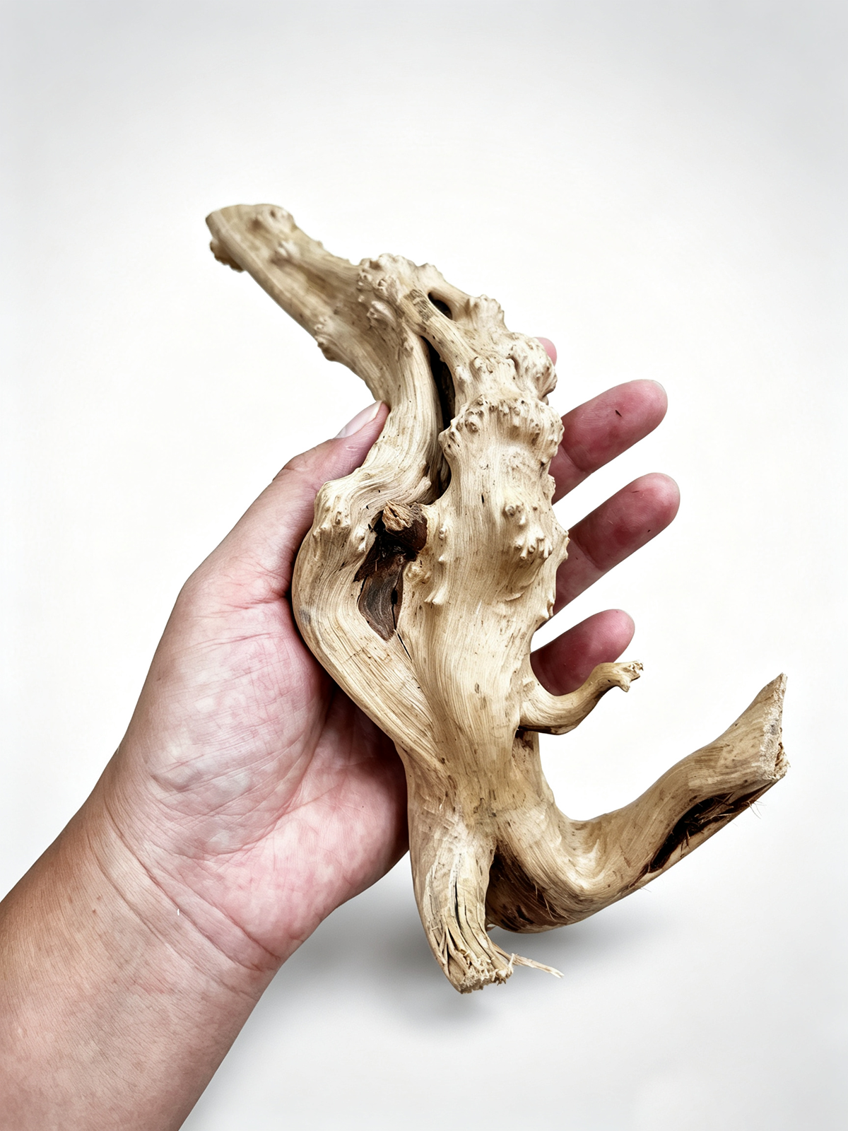 7-26 ซม.4 ขนาด Driftwood Cucko - Planted Aquarium Media บทวิจารณ์และราคา