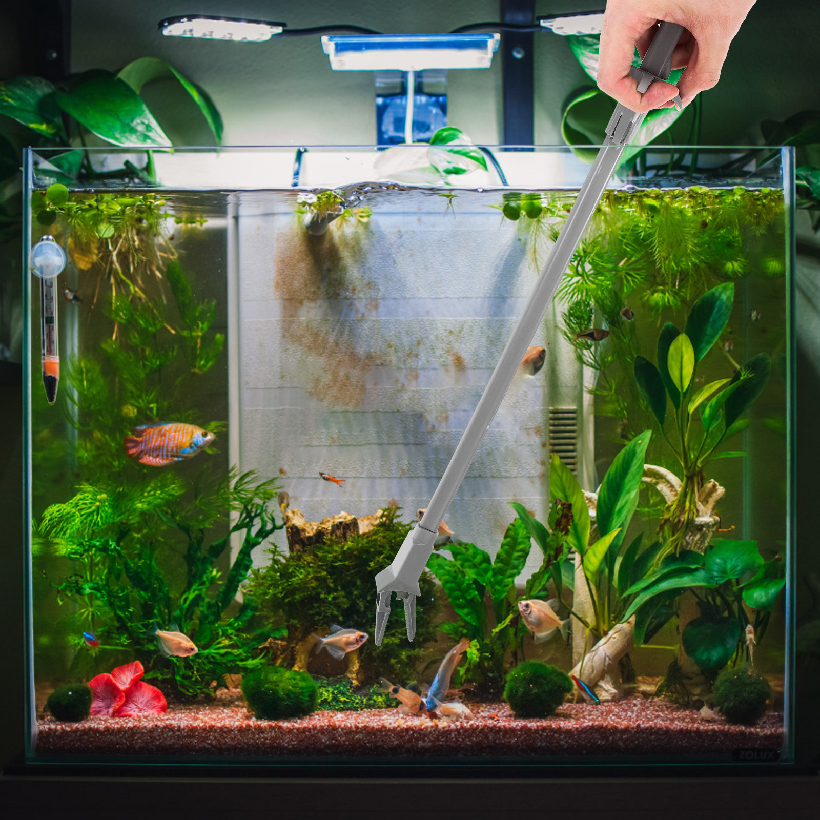 แหนบตัดแต่งต้นไม้ในตู้ปลา 50 ซ - Planted Aquarium Tips บทวิจารณ์และราคา
