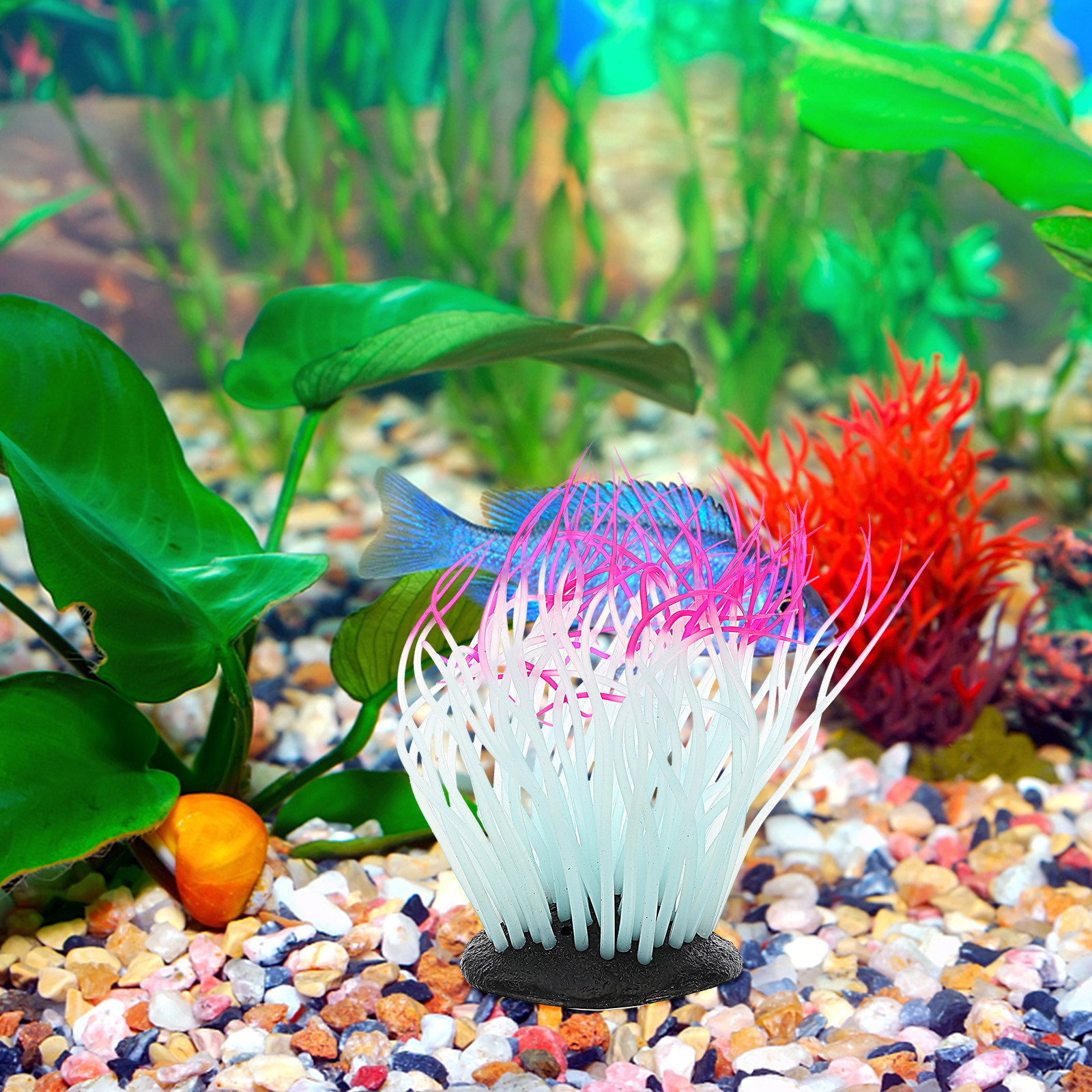 ปะการังเรืองแสงในที่มืด สีแดง  - Aquarium Plant Red บทวิจารณ์และราคา
