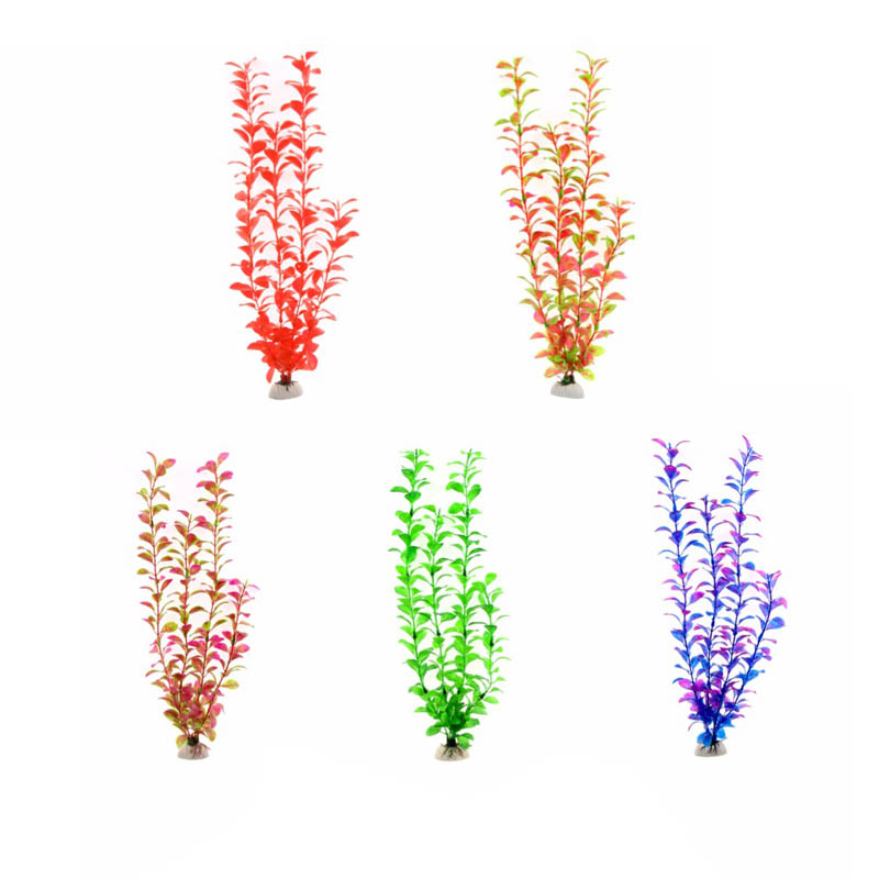 เครื่องประดับอุปกรณ์ตู้ปลาพืชใ - Aquarium Plant Live บทวิจารณ์และราคา