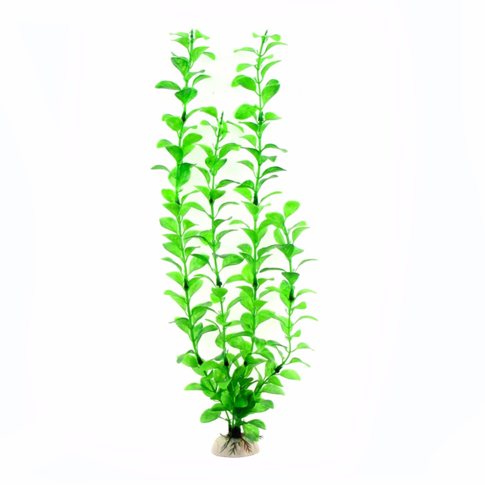 เครื่องประดับอุปกรณ์ตู้ปลาพืชใ - Aquarium Plant Live บทวิจารณ์และราคา