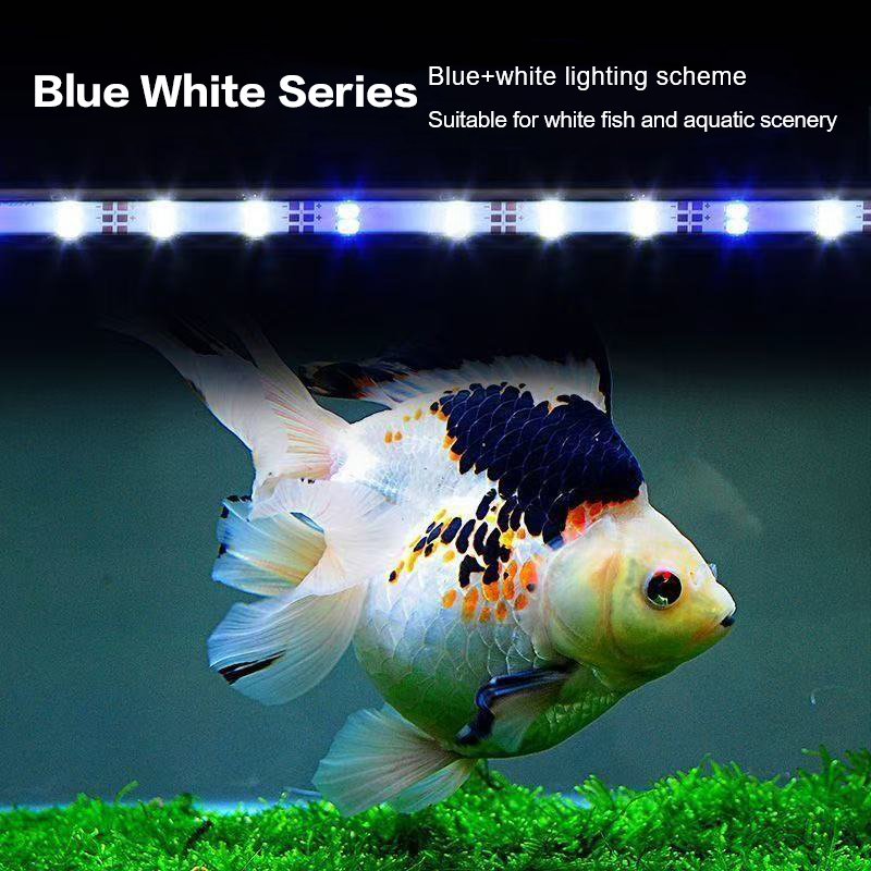 ไฟใต้น้ำ โคมไฟใต้น้ำ โคมไฟปลูก - Aquarium Plant Diseases บทวิจารณ์และราคา