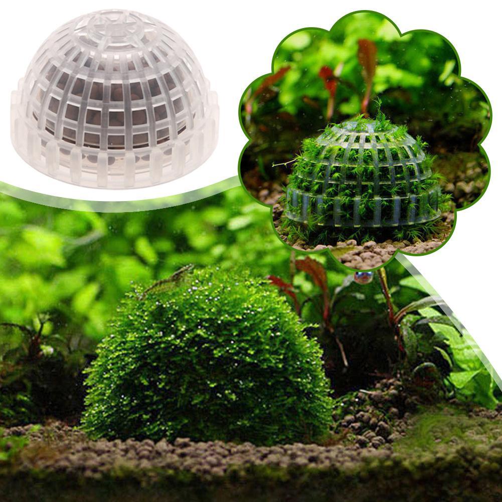 1/2/3/4/5 ชิ้น ของตกแต่งตู้ปลา - Aquarium Plant Red บทวิจารณ์และราคา