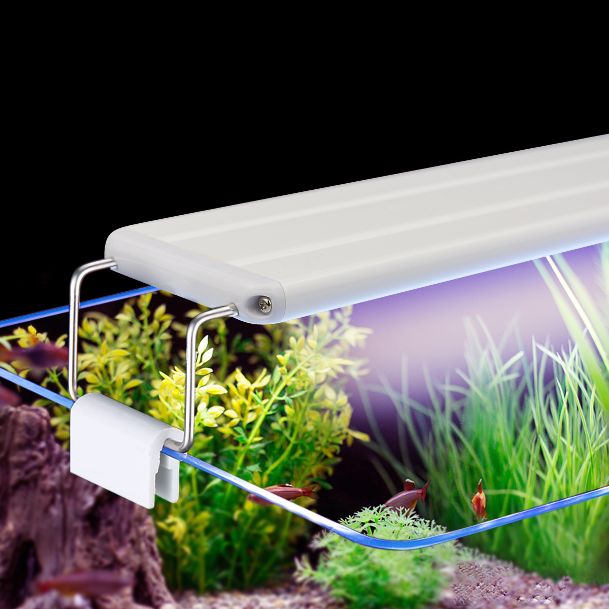 Super Slim LED Aquarium Light  - Aquarium Plant Diseases บทวิจารณ์และราคา