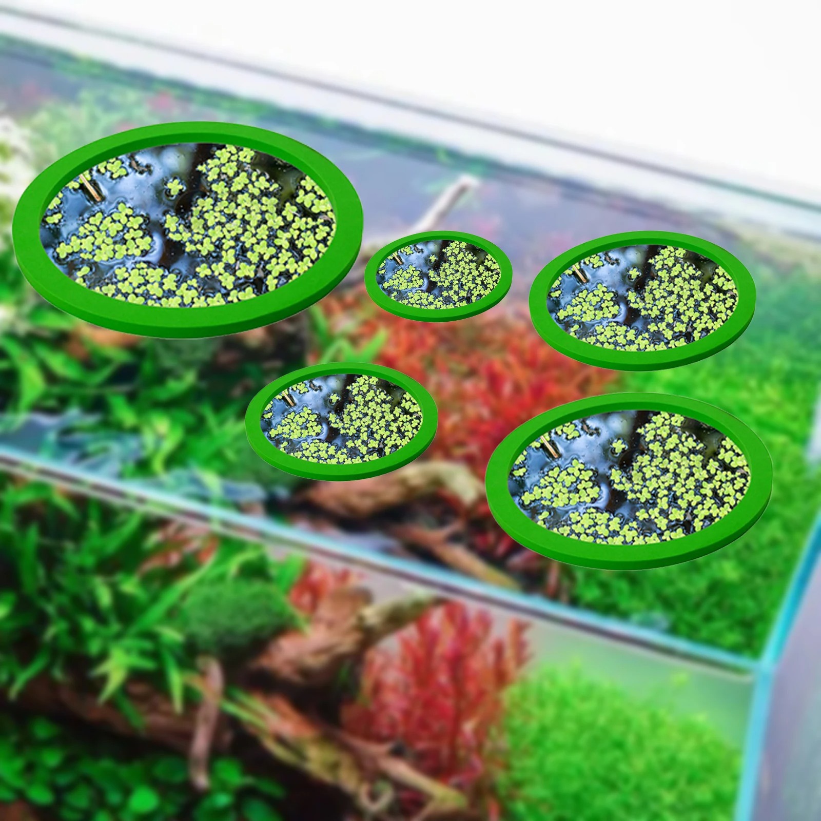 5 ชิ้น EVA ปลา Feeding แหวน Aq - Aquarium Plants บทวิจารณ์และราคา