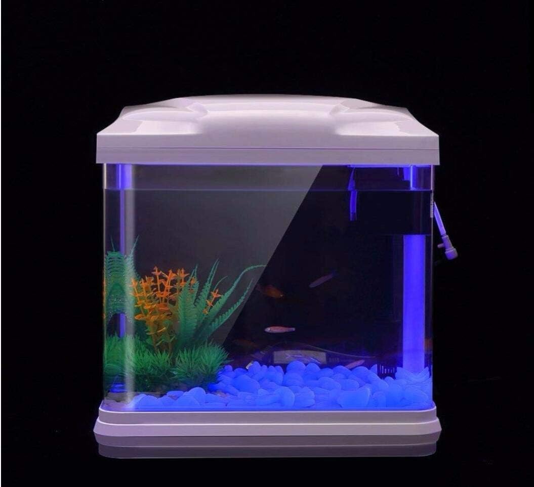 ถังปลา Rocks Glow Blue Pebbles - Aquarium Plants บทวิจารณ์และราคา