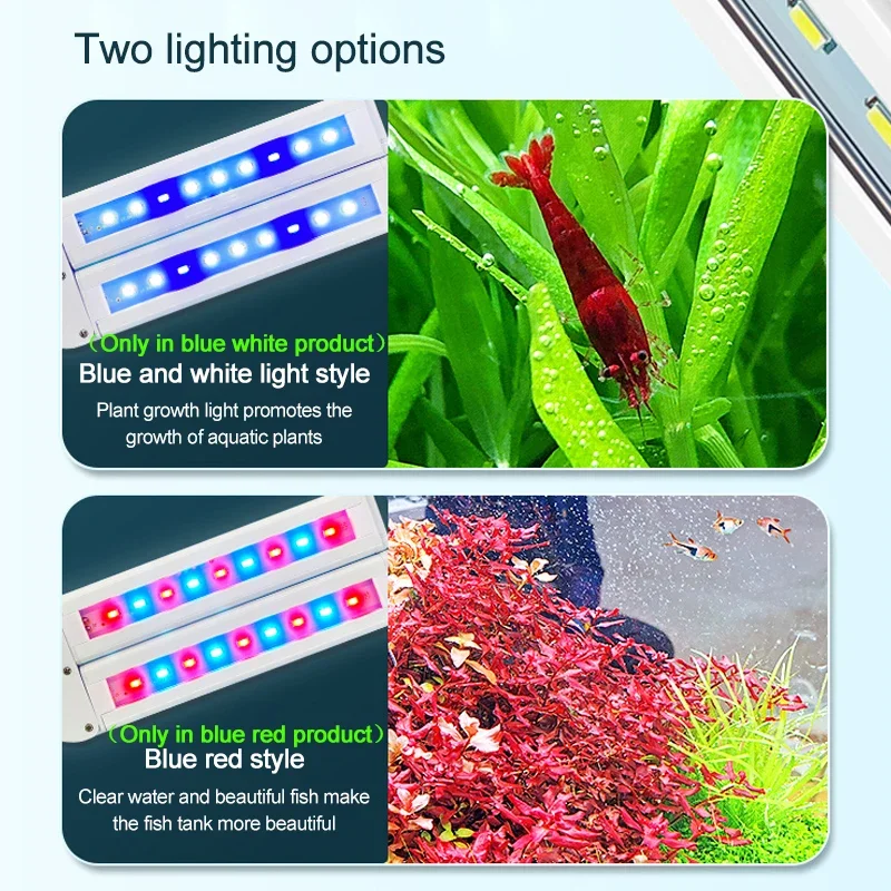 Super Bright คลิปโคมไฟ LED Aqu - Aquarium Plant Diseases บทวิจารณ์และราคา
