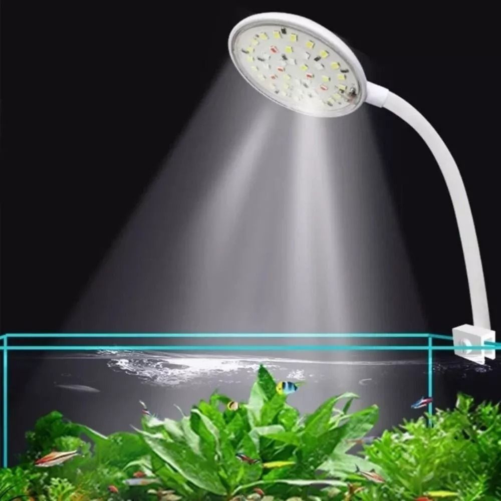 โคมไฟขนาดเล็กแบบหนีบสำหรับตู้ป - Aquarium Plant Live บทวิจารณ์และราคา