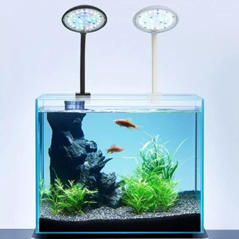 โคมไฟขนาดเล็กแบบหนีบสำหรับตู้ป - Aquarium Plant Live บทวิจารณ์และราคา